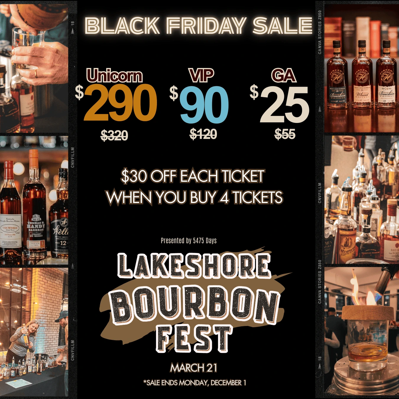 Black Friday Special